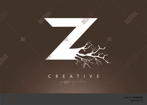 Letter Z Design Logo Vector & Photo (Free Trial) | Bigstock