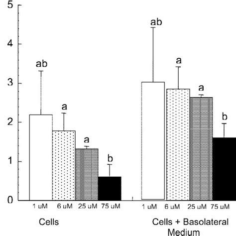 Heme iron absorption by Caco-2 cells after 48 h as a function of heme... | Download Scientific ...