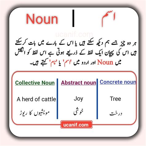 Nouns in Urdu - Definition, Types and Examples in Urdu | Concrete nouns, Nouns, Writing ...