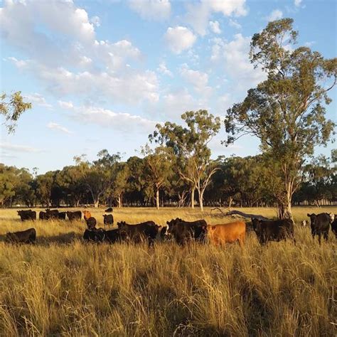 Events - Farmers for Climate Action