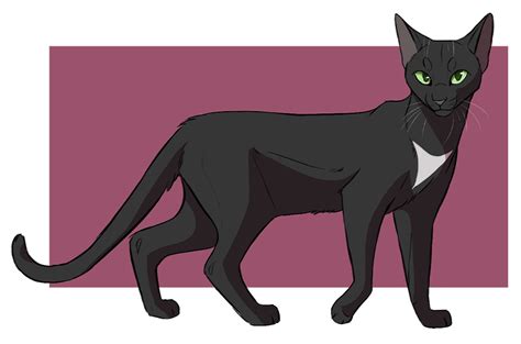 Hollyleaf by ClimbToTheStars on @DeviantArt | Иллюстрации кошек ...