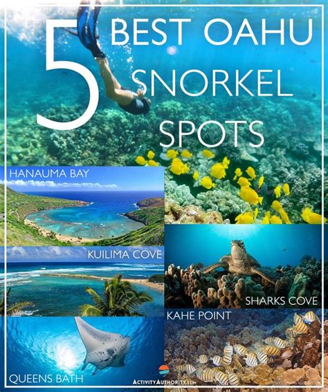 Top 5 Oahu Snorkel Spots - Best Places To Snorkel On Oahu