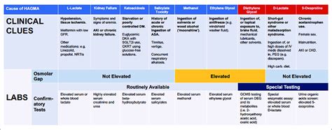 Clinical clues and laboratory testing for causes of HAGMA. | Download ...