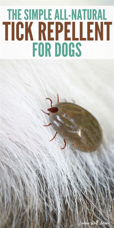 The Simple All-Natural Tick Repellent for Dogs