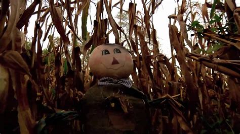 Halloween Corn Maze