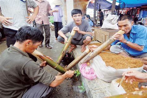 Thuoc Lao – Pipe Smoking | How to Get High by Vietnamese Tobacco