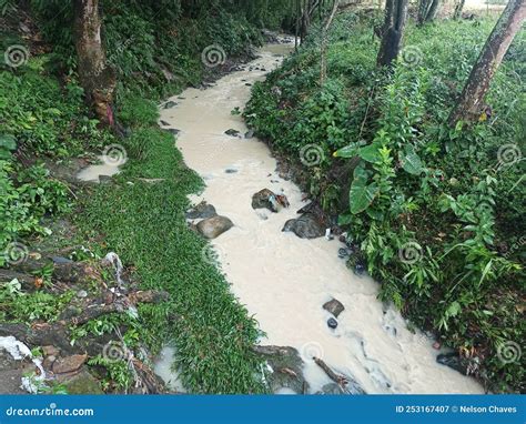 Small River with Evidence of Contamination Stock Image - Image of ...