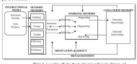 [PDF] Developing a Virtual Lab to Teach Essential Biology Laboratory Techniques | Semantic Scholar