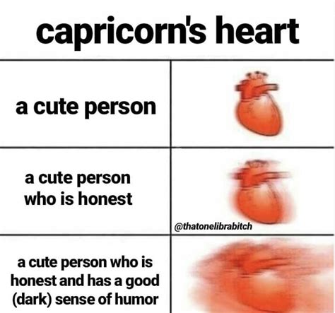 28 Funny and Relatable Capricorn Memes | So Syncd