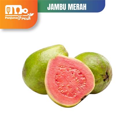 Jual BUAH JAMBU BATU MERAH 1 KG | Shopee Indonesia