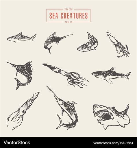 Sea Creature Drawings Realistic - Sea Drawing Creature Drawings ...