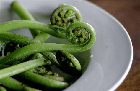 Pikopiko can be used as a signature garnish or as a vegetable.