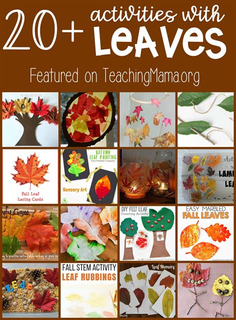 20+ Activities with Leaves