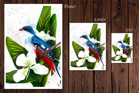 Cuban Trogon, Tocororo, Ginger Lily, White Mariposa, Bird of Cuba ...