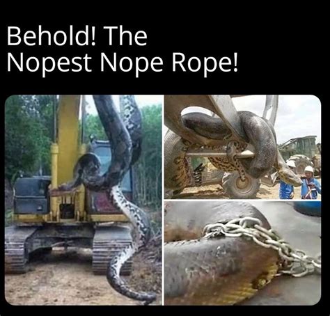 Nope rope - Meme subido por Paddybardic :) Memedroid