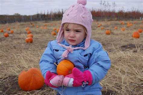 Pumpkin patch | Pumpkin patch | Steven Robinson | Flickr