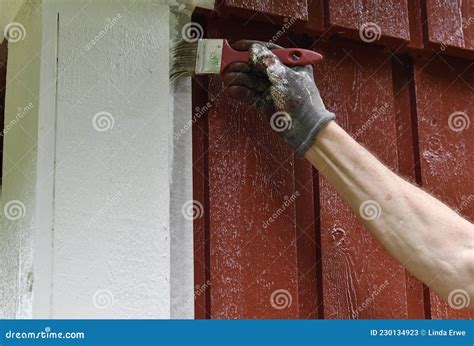 A Man Painting His House with White Color Stock Image - Image of creative, isolated: 230134923