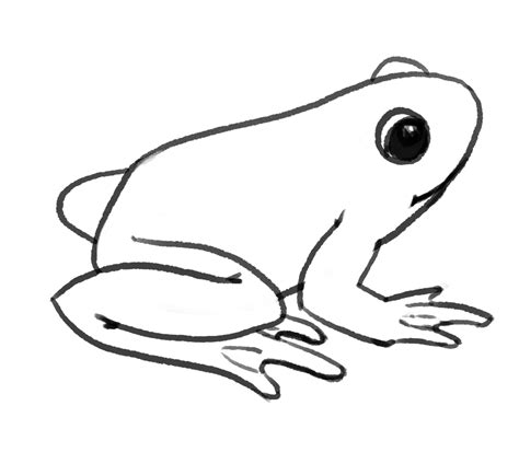 How To Draw A Toad For Kids