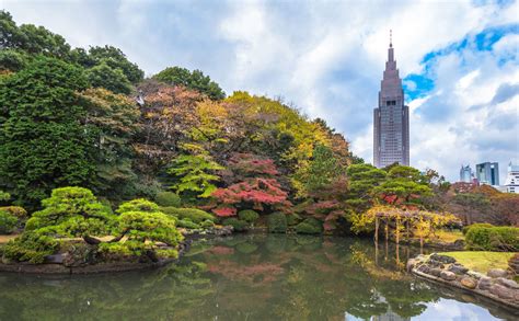 Shinjuku Gyoen à Tokyo | Tokyo, Japan travel, Asia travel