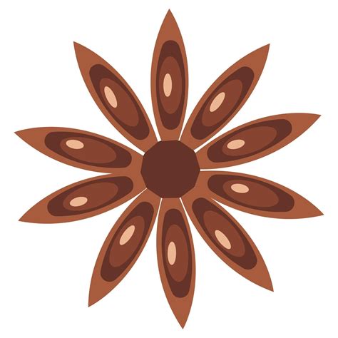 Cinnamon flower. Aromatic spice. Vector illustration isolated on white ...