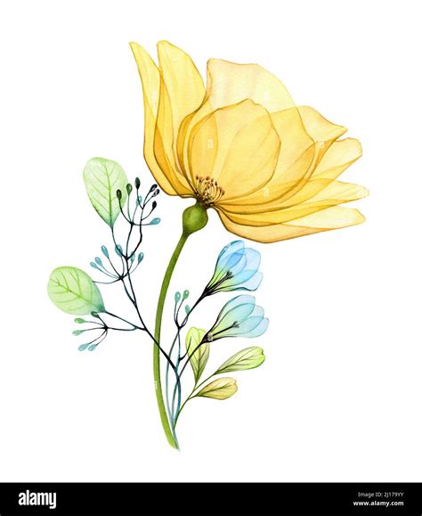 Watercolor floral bouquet with yellow rose and blue snowdrops. Abstract composition with ...