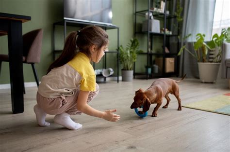 7 Types of Scratch-Resistant Flooring for Pets and Kids