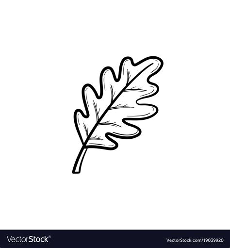 Oak leaf hand drawn sketch icon Royalty Free Vector Image