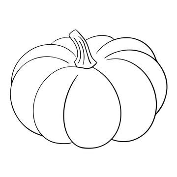 Cute Pumpkin Clipart Black And White