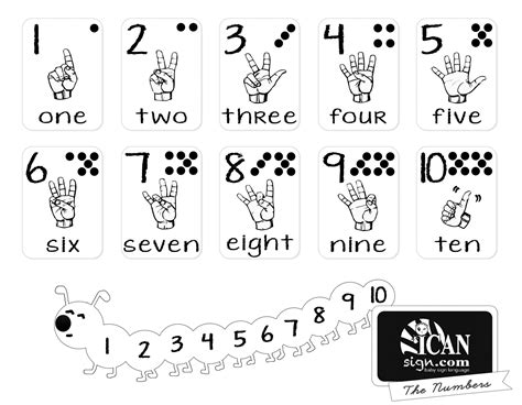 Printer-Friendly Asl Numbers Chart - Free Printable From | Printable ...