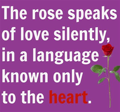 50 Best Rose Quotes To Show Your Love