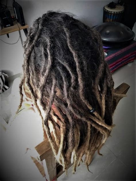 Dreadlocks maintenance dreads - Sydney Dreadlocks