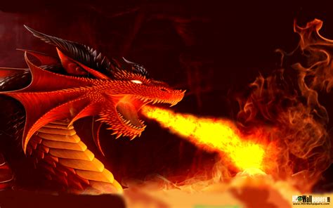 Fire Dragon Wallpaper Widescreen