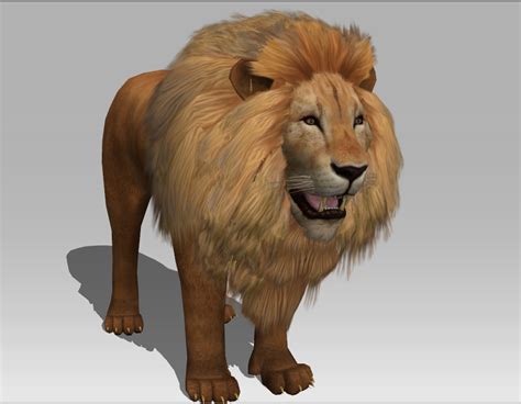 3D Lion 3D Model in Other 3DExport