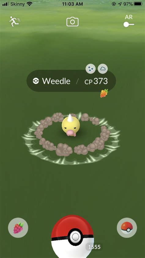 Shiny Weedle Live! : r/TheSilphRoad