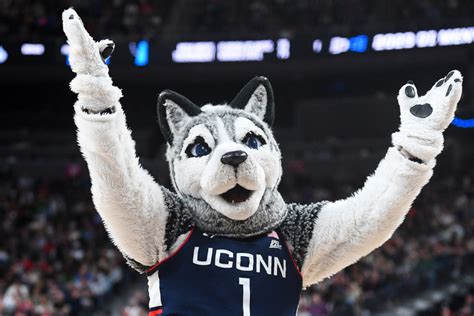 Uconn Final Four 2024 Olympics - Liuka Rosalynd