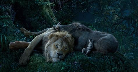 Lion King Pumbaa Poster Sparks Controversy Twitter