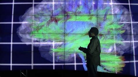 Immersive Visualization of Whole-Brain Tractography in CAVE2™ - YouTube