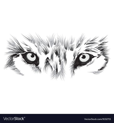 Beautiful wolf face Royalty Free Vector Image - VectorStock