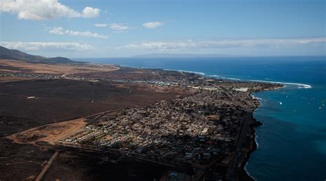 How invasive plants caused Hawaii’s Maui fires to rage | World News ...