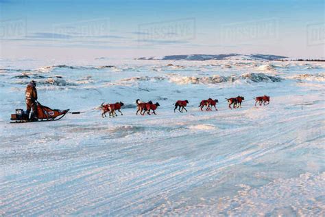 Robert Sorlie runs down the beach at dawn leaving the Koyuk checkpoint ...