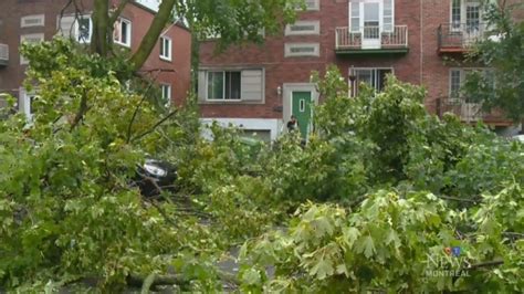 Cleanup underway after devastating storm hits Montreal | CTV News