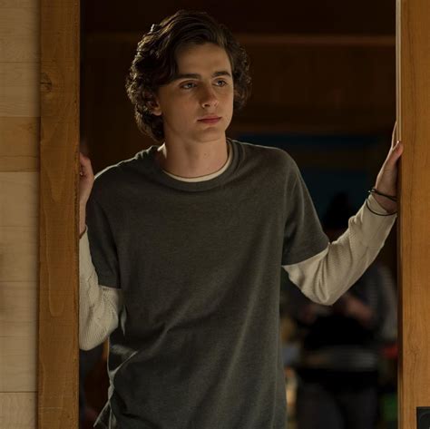 Picture of Timothee Chalamet in Beautiful Boy - timothee-chalamet ...