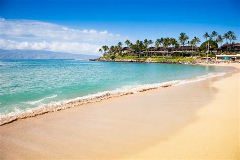 The 5 Best Maui Beaches in 2021 - Hawaii Magazine