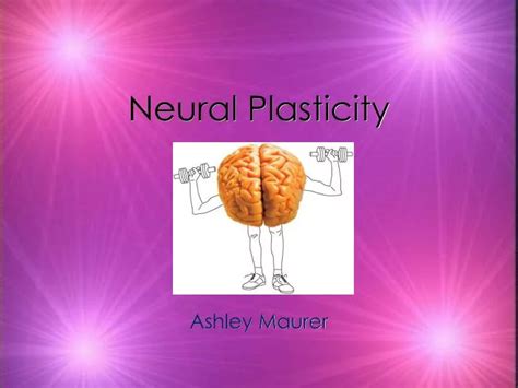 PPT - Neural Plasticity PowerPoint Presentation, free download - ID:1002246