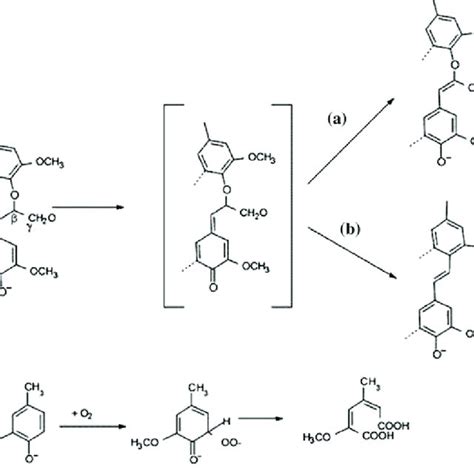 Mechanism of acid hydrolysis of cellulose | Download Scientific Diagram