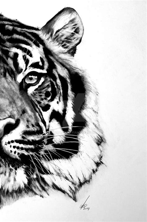 Half series-Sumatran Tiger by salt25 | Tiger drawing, Big cat tattoo ...