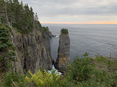 Early Morning on the Avalon Peninsula (East Coast Trail, Newfoundland ...