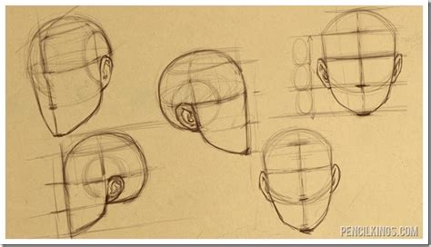 How to draw heads for perfect face proportions | Рисунки лица, Лицо, Рисовать