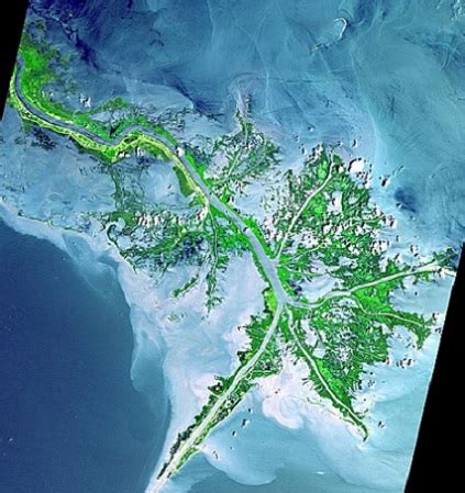 Mississippi River Delta | Map, Formation & Wetlands | Study.com