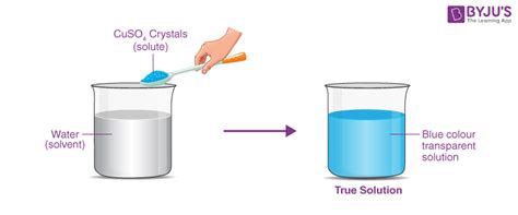 CBSE Class 9 Chemistry Practicals and Experiments on Preparation of a ...